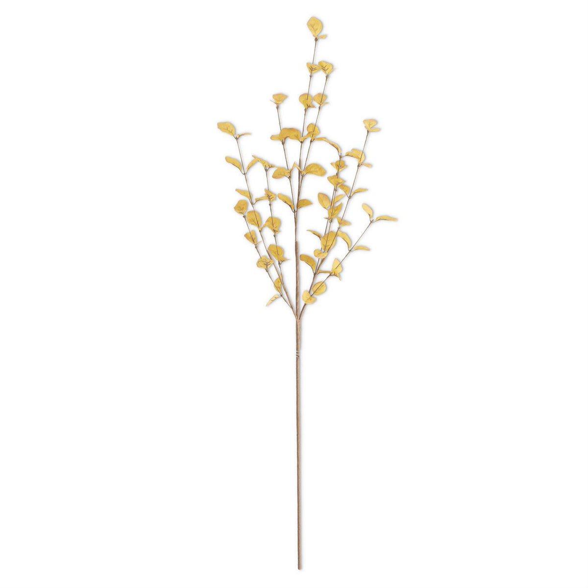Light Yellow Eucalyptus Greenery Collection