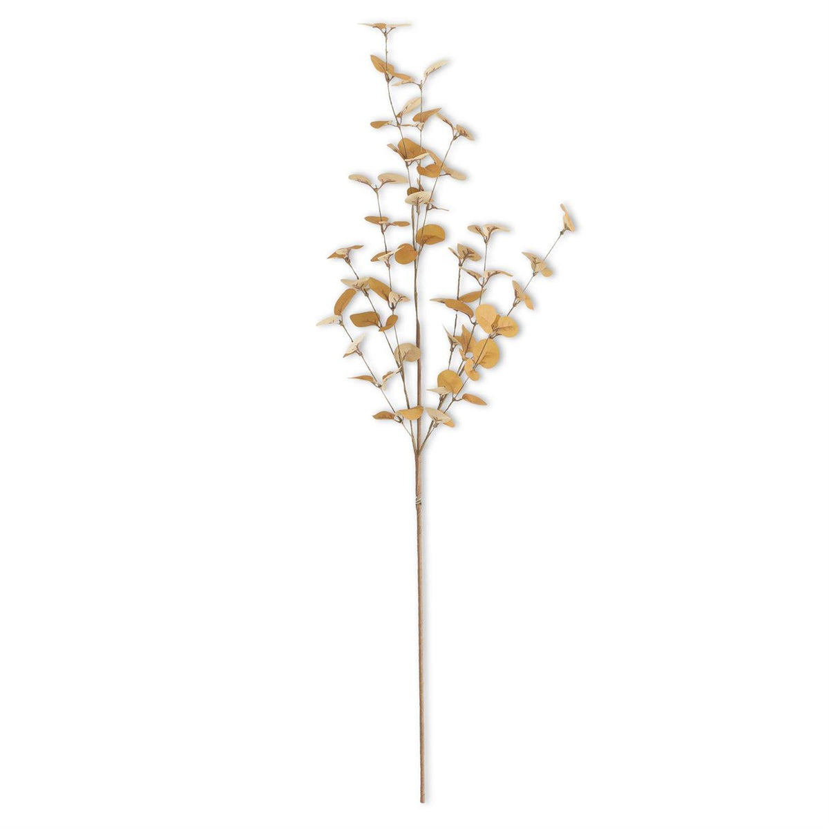 Rust and Dark Yellow Eucalyptus Greenery Collection
