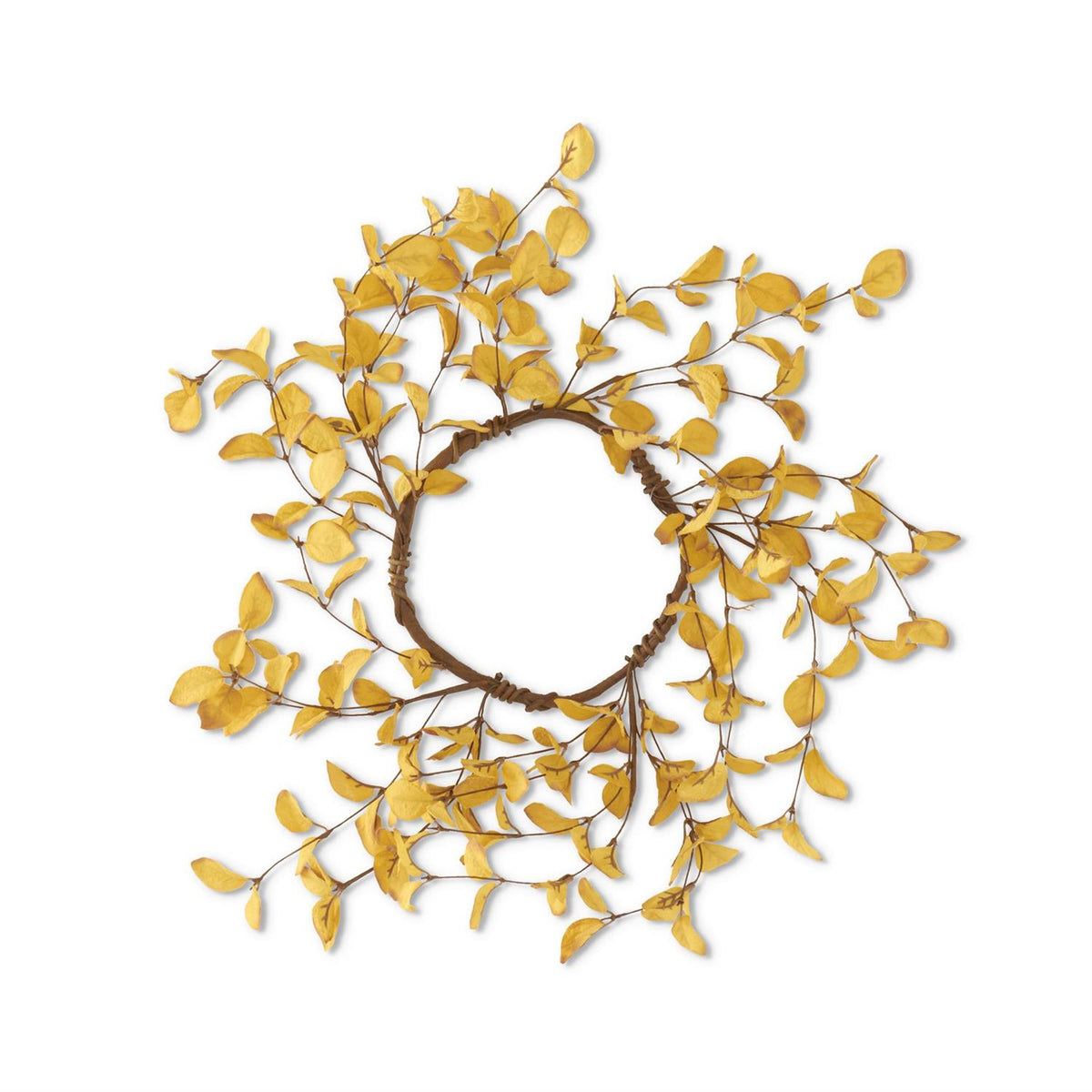 Light Yellow Eucalyptus Greenery Collection