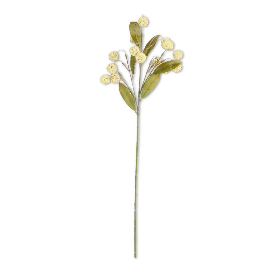 Cream Billy Button Spray 30"