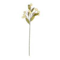Cream Billy Button Spray 30"