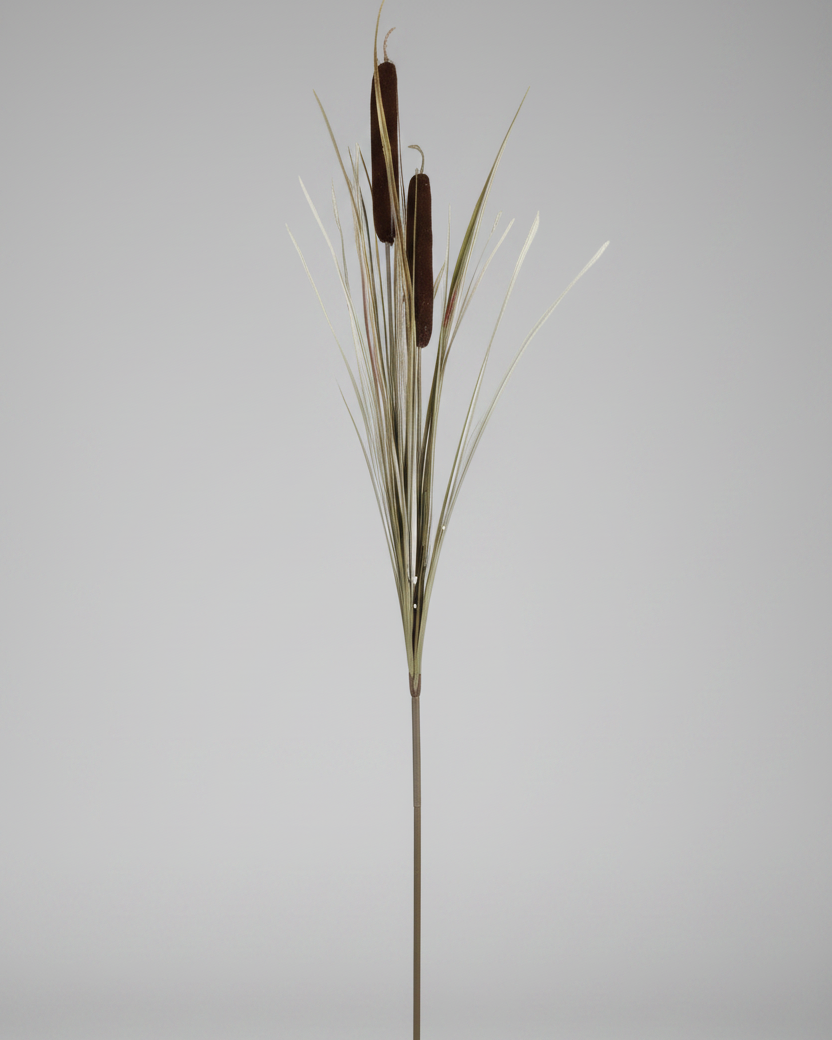 Dark Brown Double Cattail Stem 43"