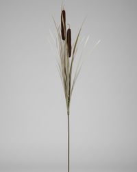 Dark Brown Double Cattail Stem 43"