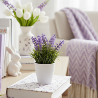 Lavender in White Ceramic Pot