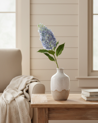Blue Cone Hydrangea Stem 38.5"
