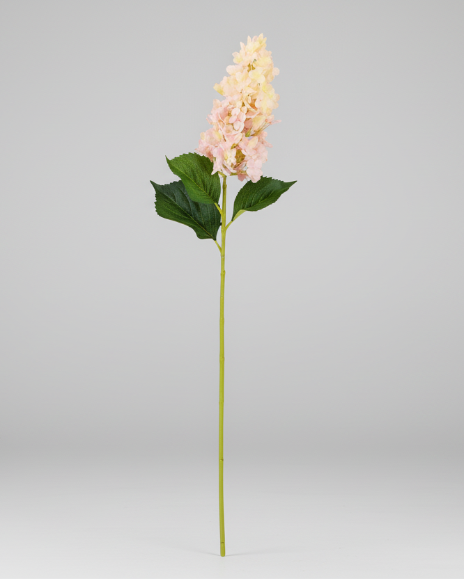 Pink Cone Hydrangea Stem 38.5"