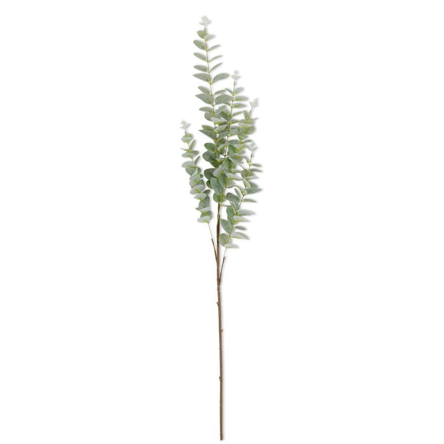 Light Green Gunnii Eucalyptus Stem 38"
