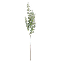 Light Green Gunnii Eucalyptus Stem 38"