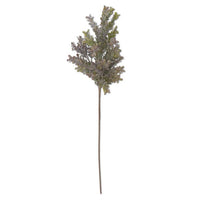 Powdered Green and Purple Boxwood Stem 29.5"