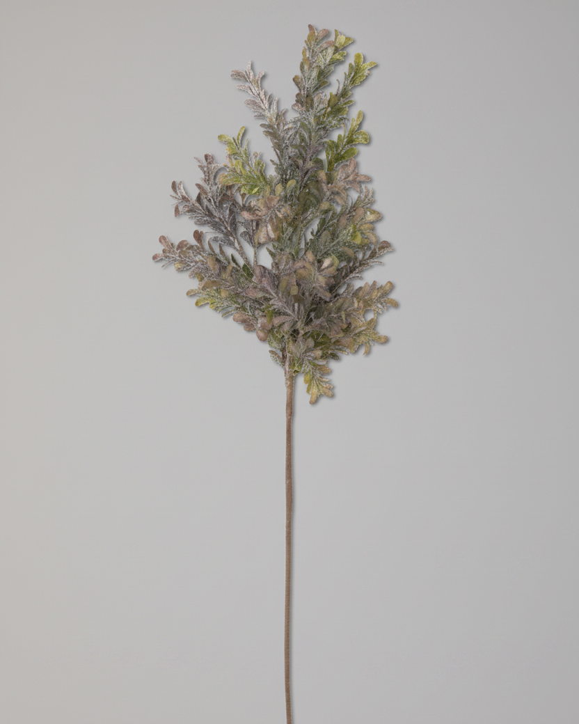 Powdered Green and Purple Boxwood Stem 29.5"
