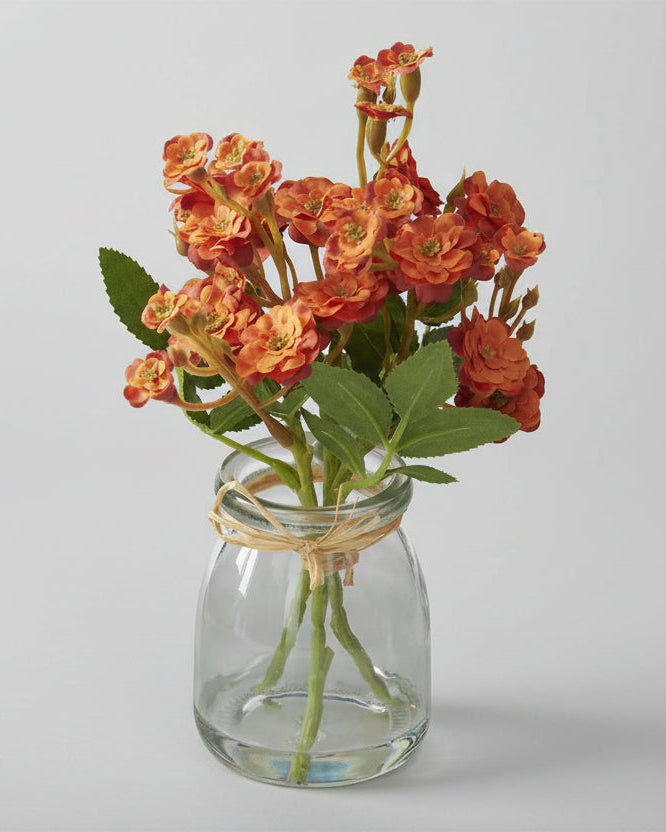 Mini Orange Primrose in Glass Vase With Faux Water