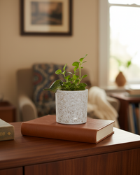 Green Bird Pot Hanger 1.75"H