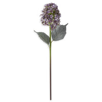 Purple Cone Hydrangea Stem 28"