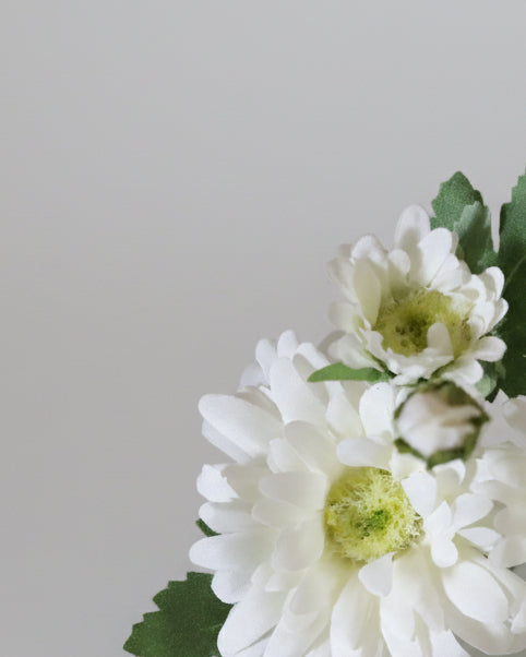 Mini White Daisy Bouquet in Glass Vase With Faux Water