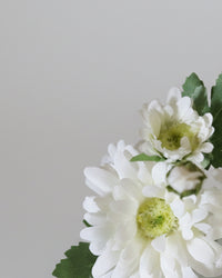 Mini White Daisy Bouquet in Glass Vase With Faux Water