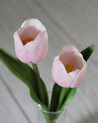 Pink Real Touch Tulip Duo in Glass Vase With Faux Water