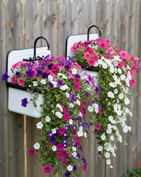 Metal Antique Sink Planter