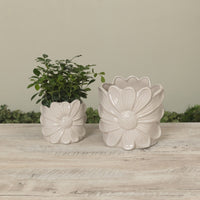 Ceramic Flower Planter