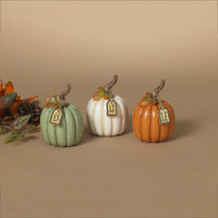 Harvest Pumpkin With Tag