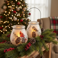 Frosted Glass Winter Bird Lantern Set