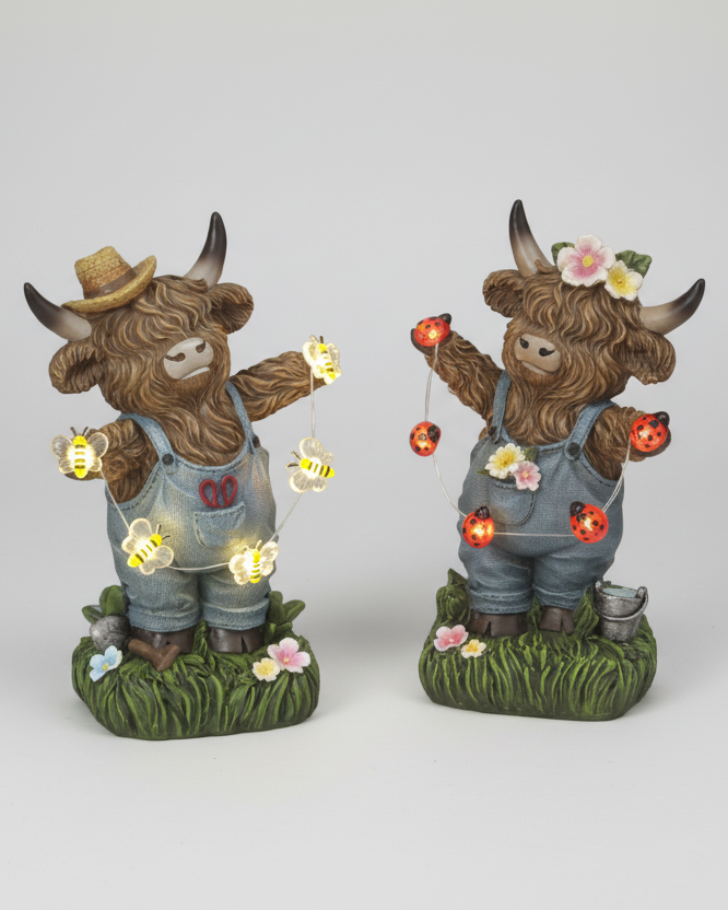 Highland Cow with String Lights and Timer