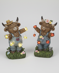 Highland Cow with String Lights and Timer