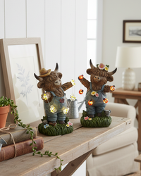 Highland Cow with String Lights and Timer