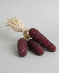 Beaded Corn Bundle