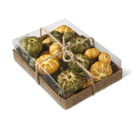 Box of Assorted Mini Green and Yellow Gourds and Pumpkins