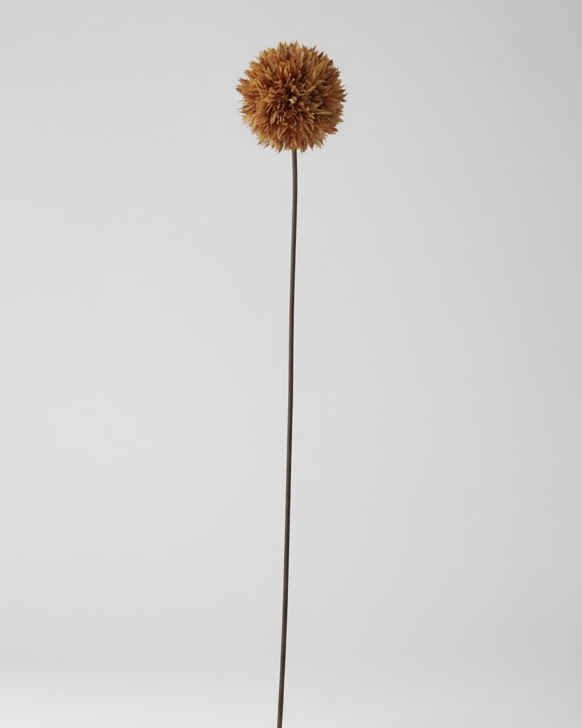 Allium Stem 26" Brown