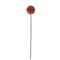 Allium Stem 26" Orange