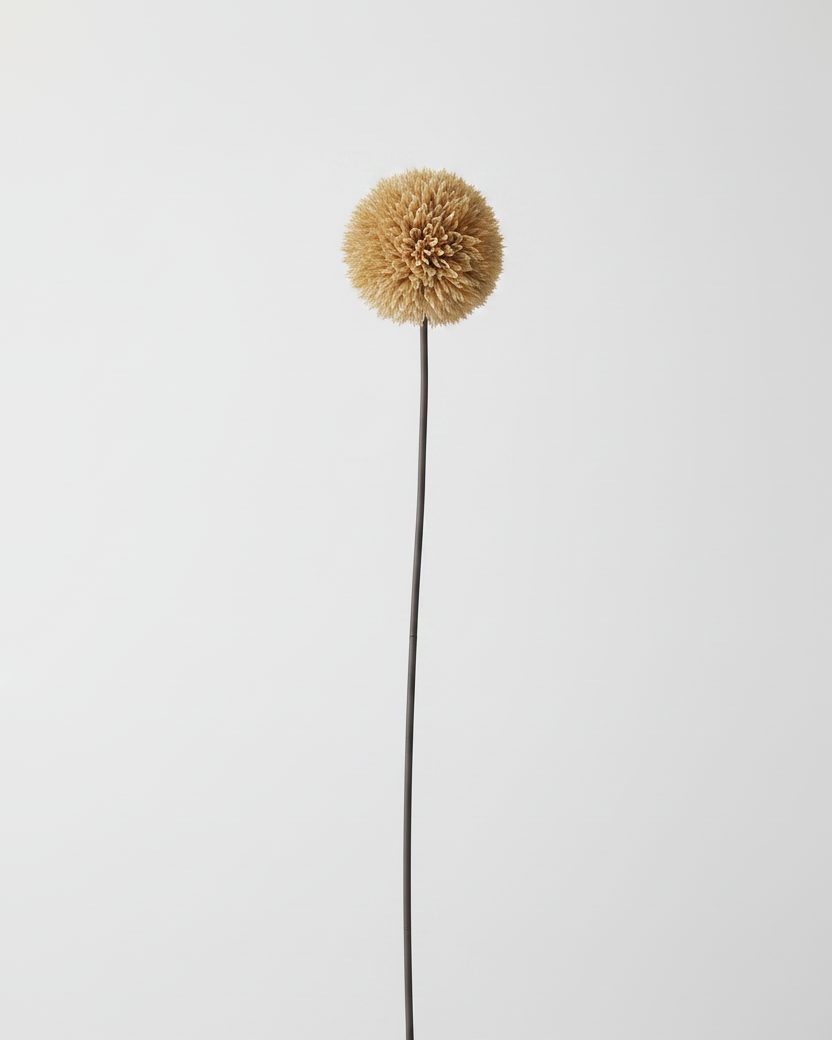 Allium Stem 26" Tan