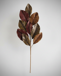 Brown Magnolia Leaf Stem 24"