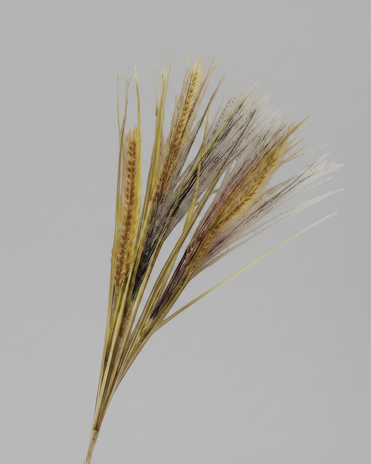 Wheat and Grass Stem Natural 36"