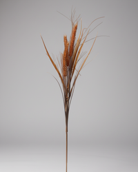 Wheat and Grass Stem Brown 36"