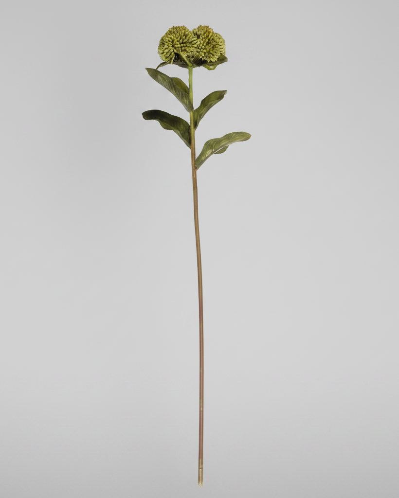 Sedum Stem 20" Green