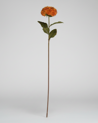 Sedum Stem 20" Orange
