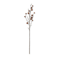 Brown Pod Collection