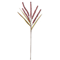 Rice Spray Burgundy 31"