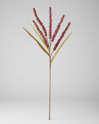 Rice Spray Burgundy 31"