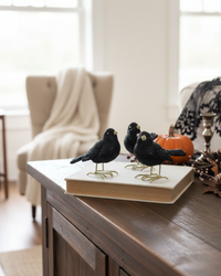 Glittered Black Resin Bird