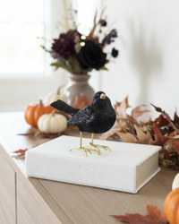 Glittered Black Resin Bird