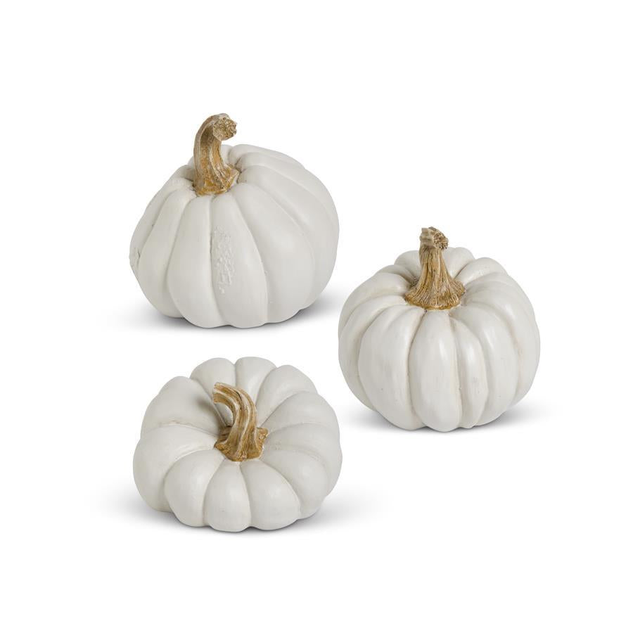 Natural Shape White Pumpkin