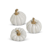 Natural Shape White Pumpkin