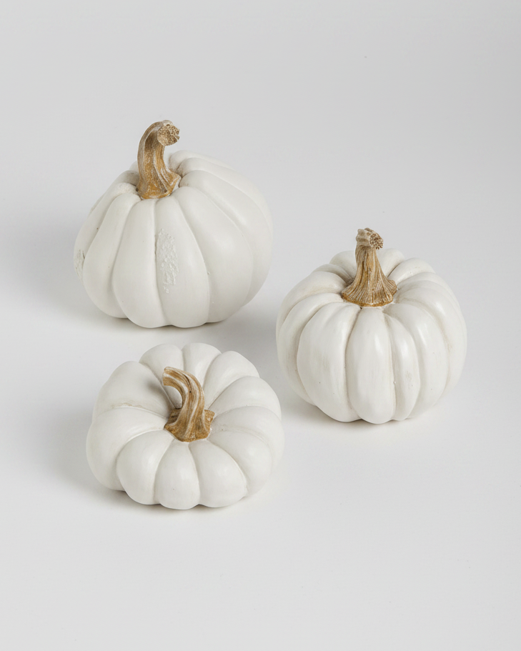 Natural Shape White Pumpkin
