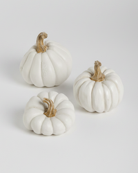 Natural Shape White Pumpkin