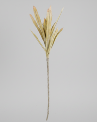 Light Yellow Pineapple Leaves Stem 45.5"