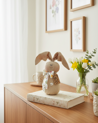 Enso The Whimsical Wabbit