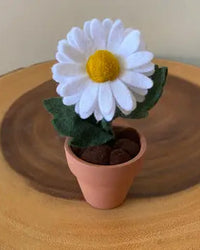 Mini Daisy Felt Forever Flower