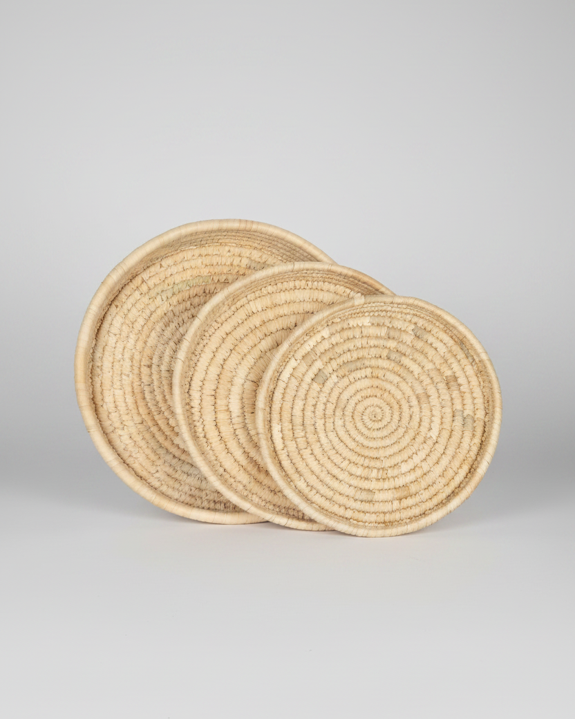 Date Palm Trays